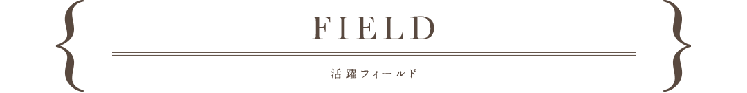 field,活躍フィールド