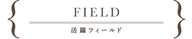 field,活躍フィールド